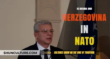 Bosnia and Herzegovina's NATO Membership: Current Status and Future Prospects