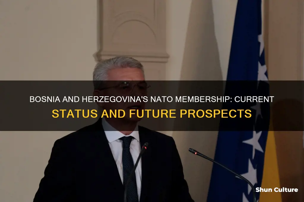 is bosnia and herzegovina in nato