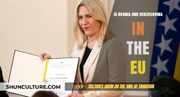 Is Bosnia and Herzegovina in the EU? Exploring Membership Status