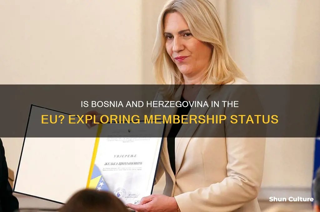 is bosnia and herzegovina in the eu