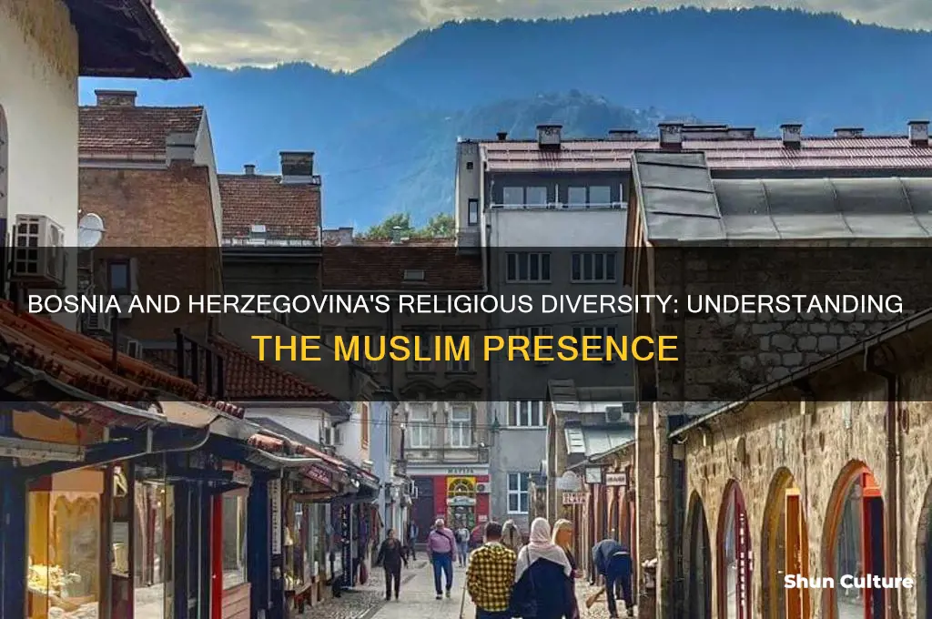 is bosnia and herzegovina muslim