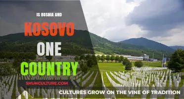 Bosnia and Kosovo: Separate Nations or a Single Country?
