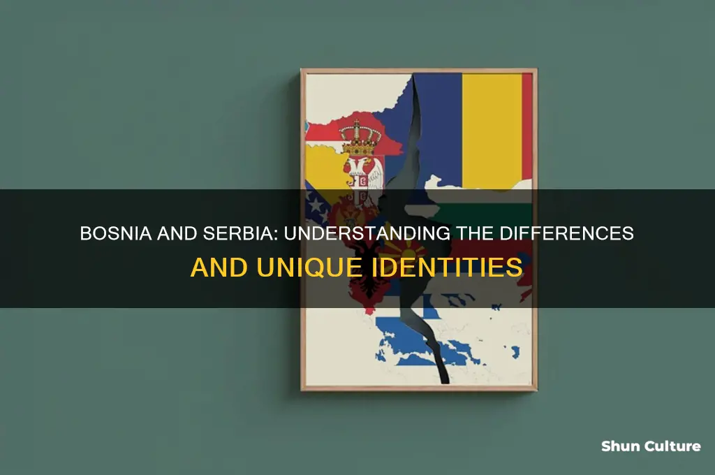 is bosnia and servia the same