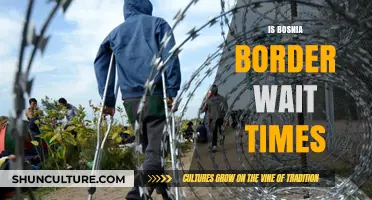 Bosnia Border Wait Times: What Travelers Need to Know