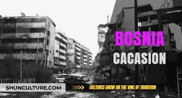 Is Bosnia Considered Caucasian? Exploring Ethnicity and Identity in the Balkans