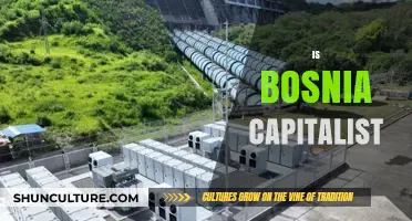 Is Bosnia Capitalist? Exploring Its Economic System and Policies