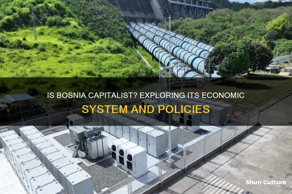 is bosnia capitalist