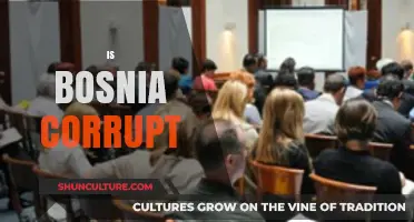 Is Bosnia Corrupt? Uncovering Truths About Corruption in Bosnia