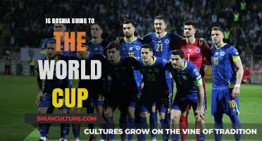 Bosnia's World Cup Dreams: Will They Make It to Qatar?