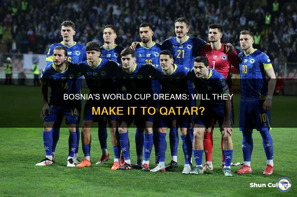 is bosnia going to the world cup