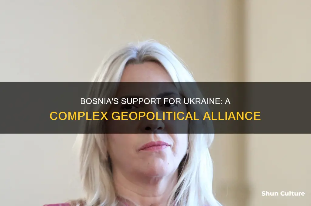is bosnia helping ukraine