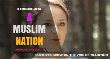 Bosnia and Herzegovina: A Muslim Nation or Diverse Society?