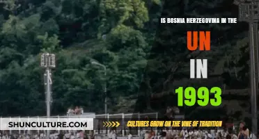 Bosnia and Herzegovina's UN Membership Status in 1993: A Historical Overview