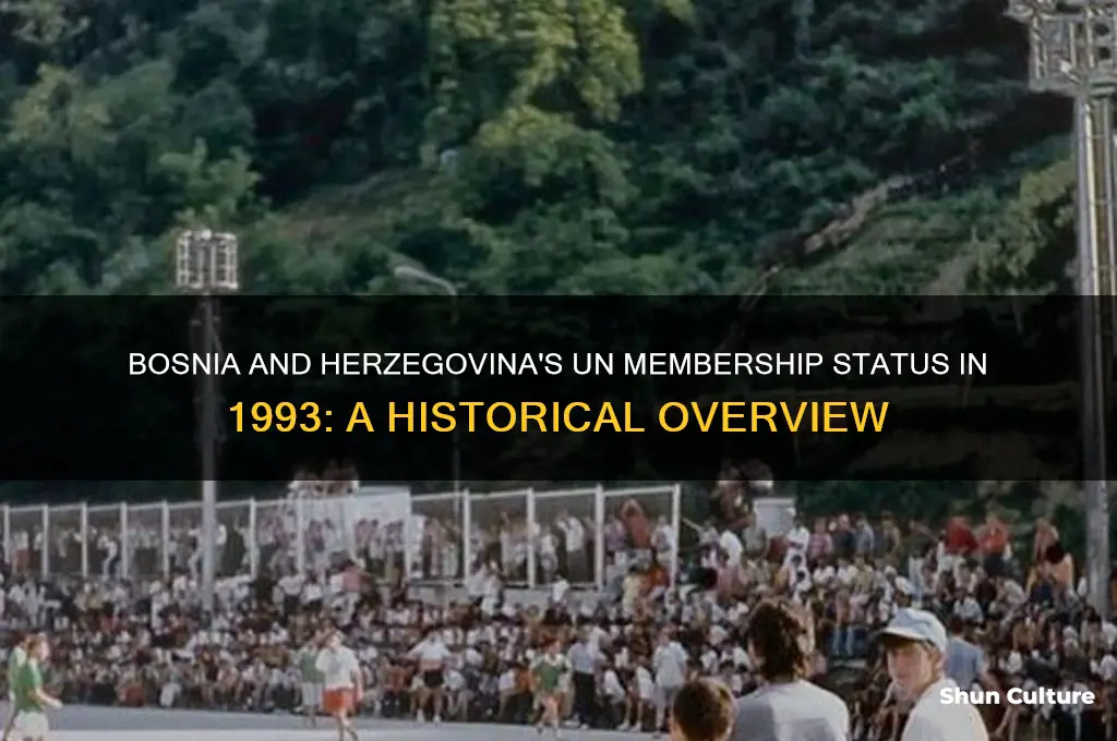 is bosnia herzegovina in the un in 1993