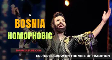 Exploring Bosnia's LGBTQ+ Rights: Homophobia, Acceptance, and Societal Challenges