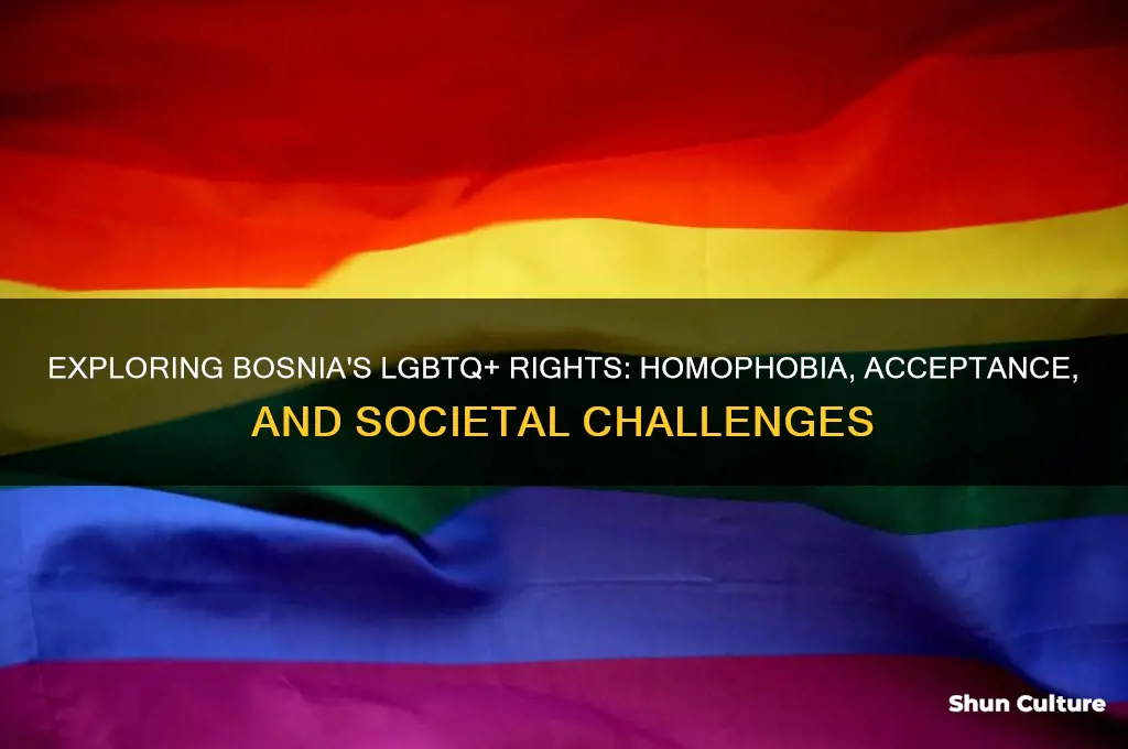 is bosnia homophobic
