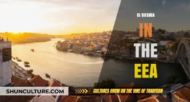 Is Bosnia in the EEA? Exploring Membership and Implications