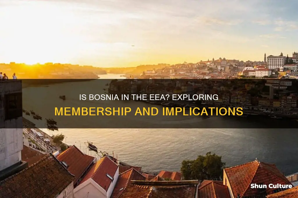 is bosnia in the eea