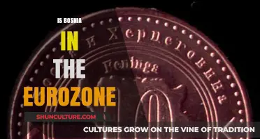Is Bosnia in the Eurozone? Exploring Its Currency and Economic Ties