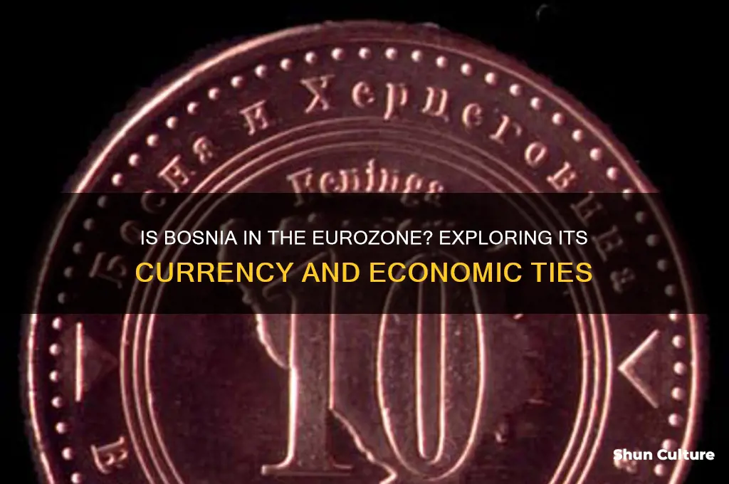 is bosnia in the eurozone