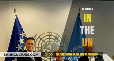 Is Bosnia in the UN? Exploring Membership and International Relations