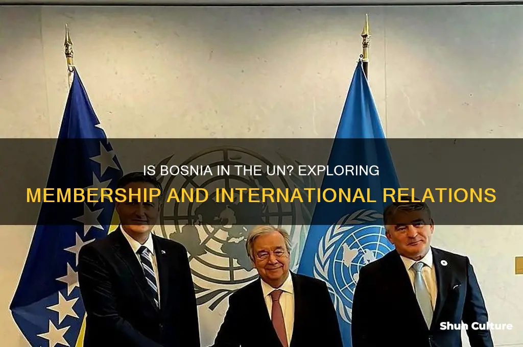 is bosnia in the un