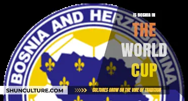 Is Bosnia in the World Cup? Exploring Their 2022 Qualification Journey