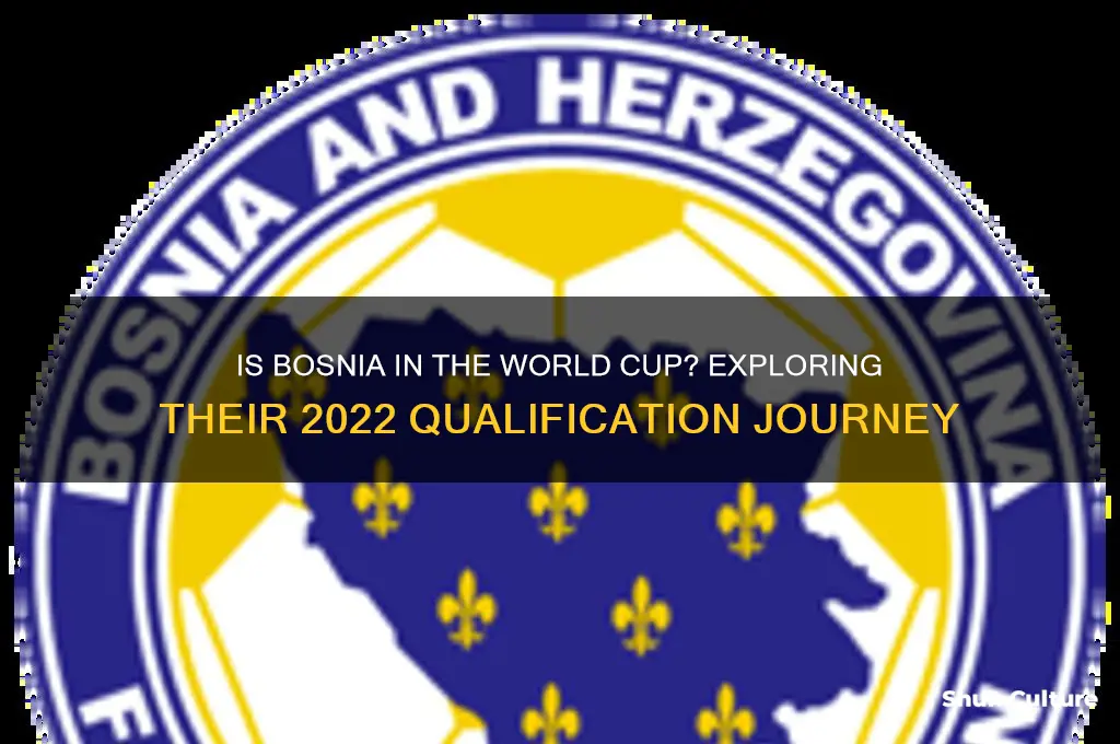 is bosnia in the world cup