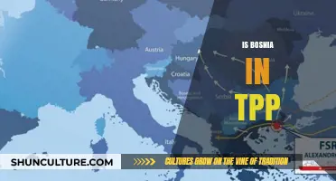 Is Bosnia Part of the TPP? Exploring Membership and Trade Implications