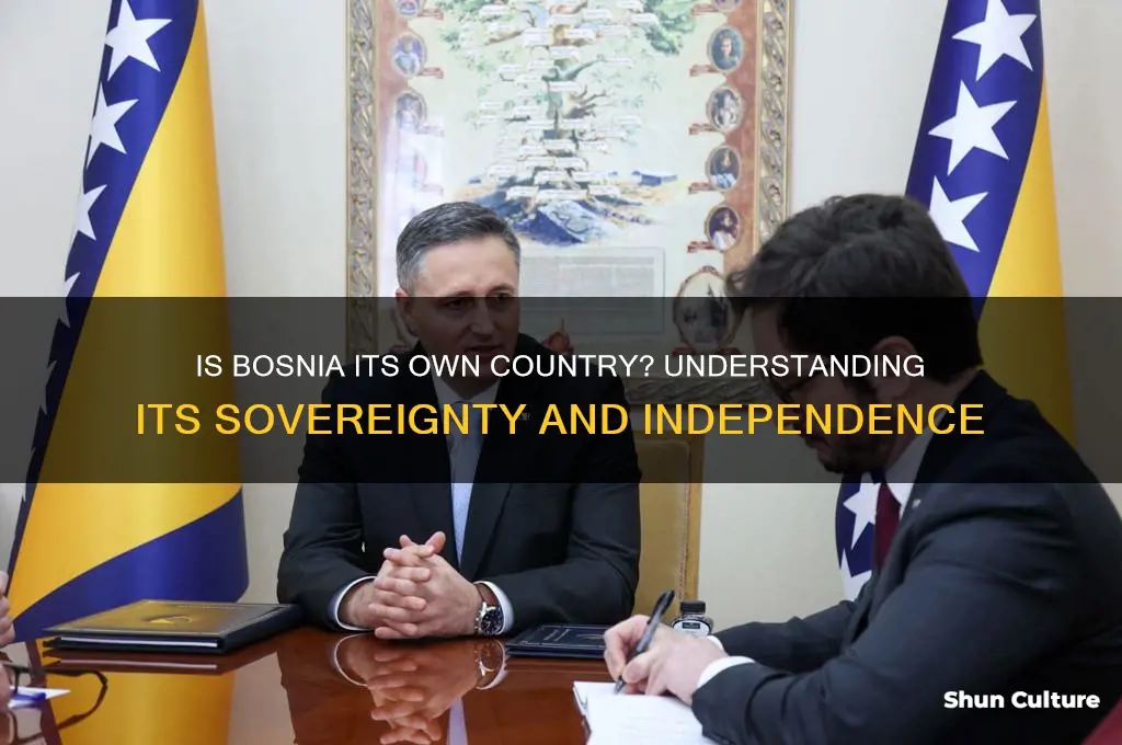 is bosnia it