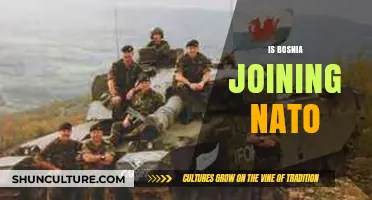 Bosnia's NATO Membership: Prospects, Challenges, and Geopolitical Implications