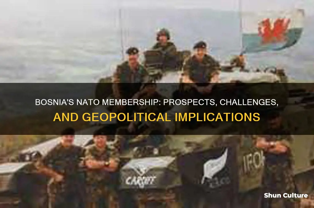 is bosnia joining nato