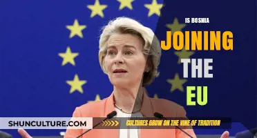 Bosnia's EU Membership: Progress, Challenges, and Future Prospects Explored