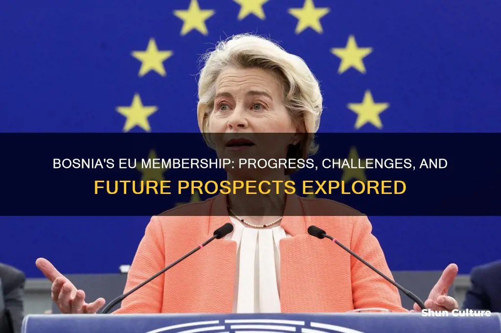 is bosnia joining the eu