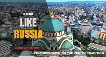 Bosnia vs. Russia: Cultural, Political, and Historical Differences Explored