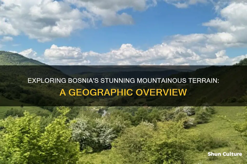 is bosnia mountainous