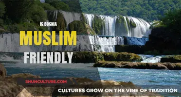 Exploring Bosnia: A Muslim-Friendly Destination with Rich Culture and History