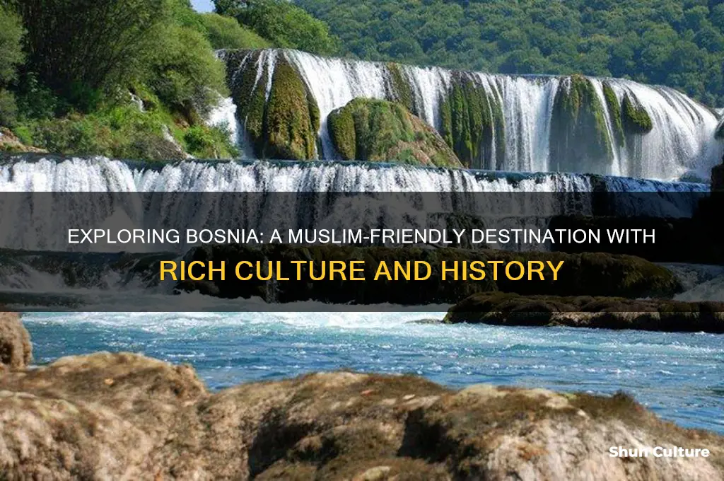 is bosnia muslim friendly