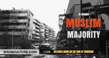 Bosnia's Religious Demographics: Is It a Muslim-Majority Nation?