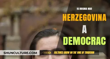 Bosnia and Herzegovina's Democracy: Challenges, Progress, and Political Realities