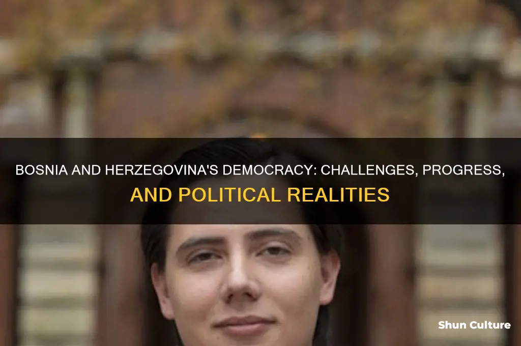 is bosnia nad herzegovina a democracy