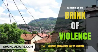 Bosnia's Tensions Rise: Is Violence on the Horizon?