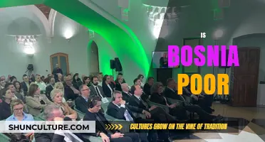Is Bosnia Poor? Exploring Economic Realities and Challenges in Bosnia