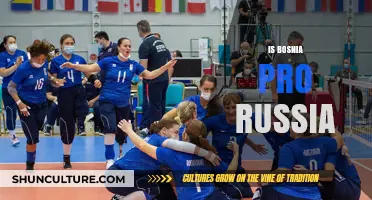 Bosnia's Complex Stance: Pro-Russia Sentiments Amidst Geopolitical Tensions