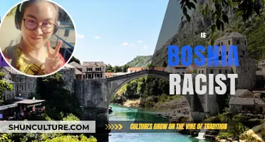 Exploring Bosnia's Racial Dynamics: Prejudice, Tolerance, and Social Realities