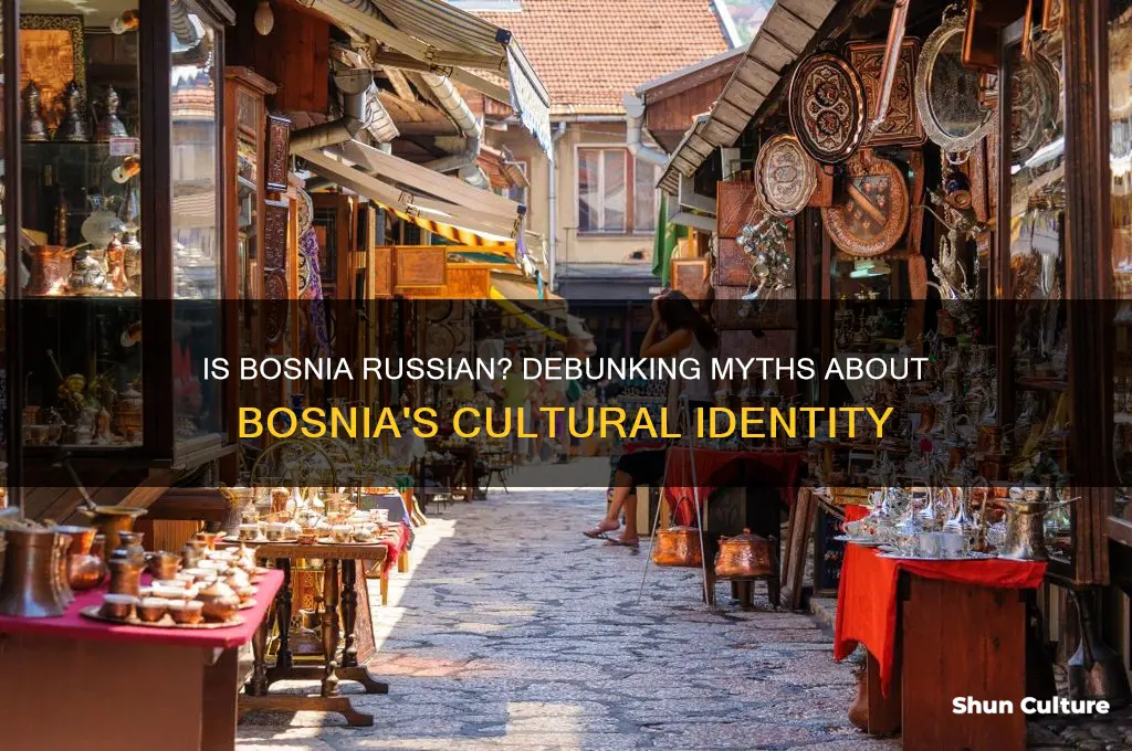 is bosnia russian