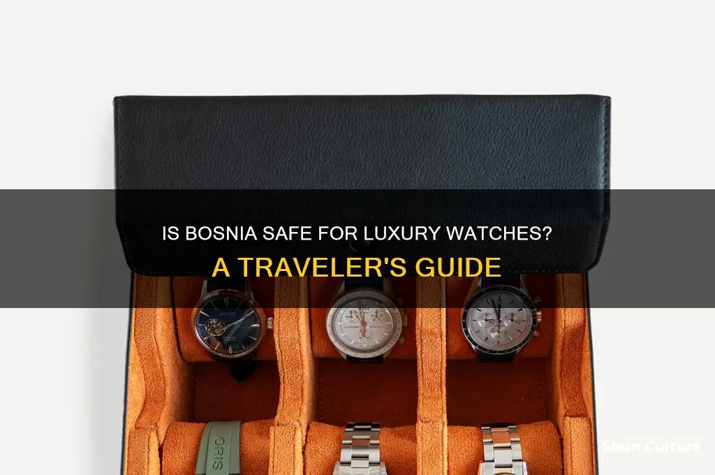 is bosnia safe for nice wathces