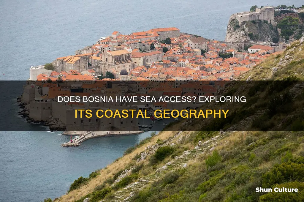 is bosnia sea access