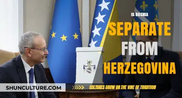 Bosnia and Herzegovina: Understanding Their Unique Relationship and Identity