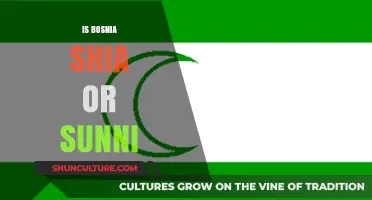 Bosnia's Islamic Identity: Understanding Shia and Sunni Presence in the Region